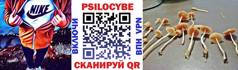 Галлюциногенные грибы ЛСД  Торжок 